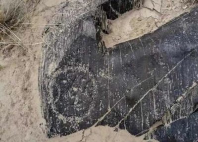 ​宁夏博物馆前馆长周兴华考察黄河流域 发现石器时代人面像集群岩画