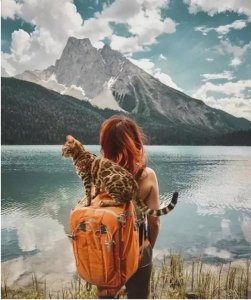 生活剧院(生活剧场的电视连续剧)