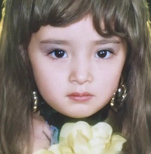 杨幂是哪里人(杨幂个人资料及出生家世简介)