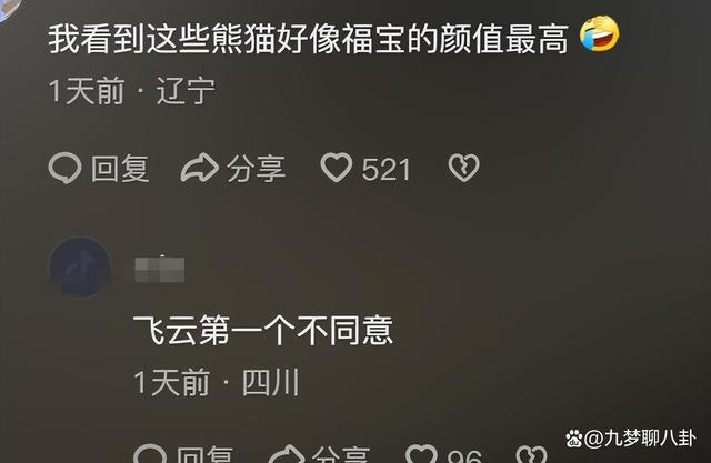 福宝四川基因觉醒!