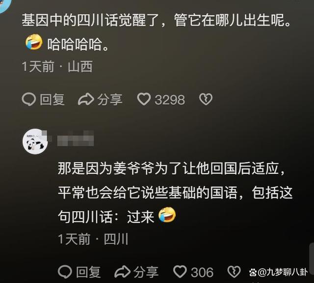 福宝四川基因觉醒!