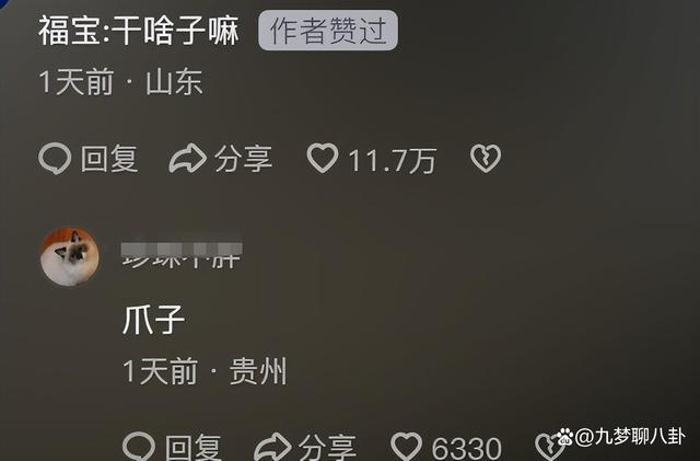 福宝四川基因觉醒!