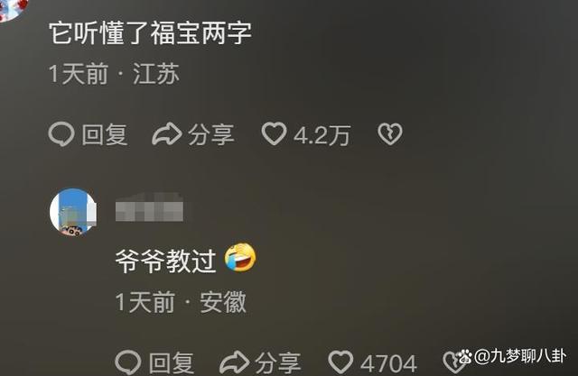 福宝四川基因觉醒!