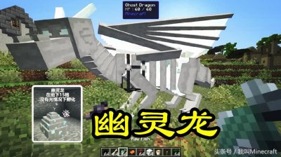 ​我的世界中龙蛋怎么孵化（手机版中龙蛋孵化的八个方法）