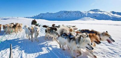 ​世界上最大的岛屿（全球面积最大的岛屿是哪个）