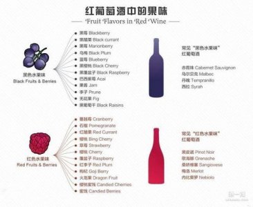 ​水果红酒茶需要哪些材料(热红酒需要哪些水果)