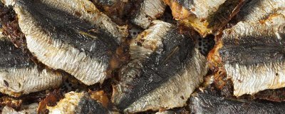 ​沙丁鱼怎么做好吃