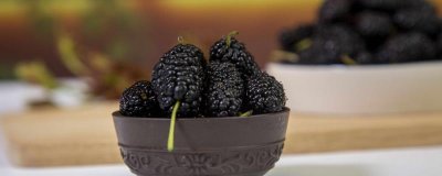 ​洗桑葚的目的是什么