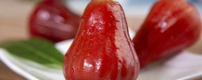 莲雾的品种有哪些