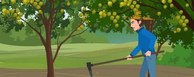 李子怎么保存能放时间长一点