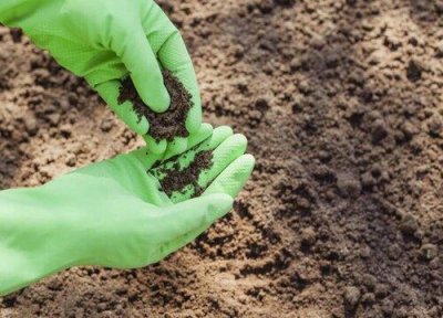 种菜前如何翻地整地处理