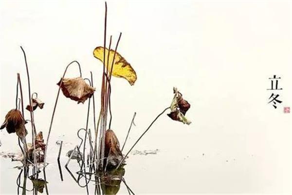 立冬要吃羊肉吗 立冬吃羊肉有什么好处 立冬要吃羊肉吗 立冬吃羊肉有什么好处