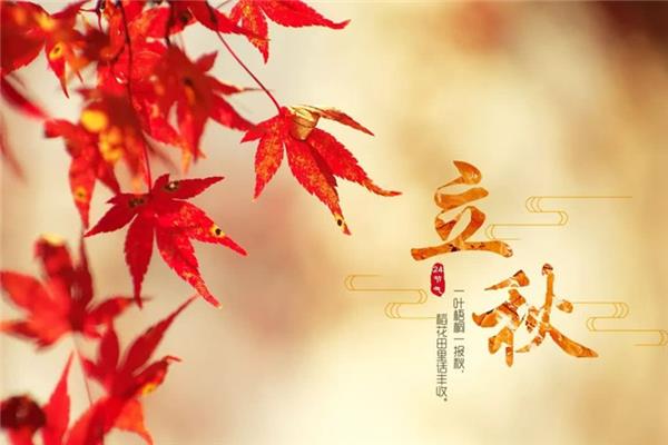 立秋要吃饺子吗 立秋吃饺子还是面条 立秋要吃饺子吗 立秋吃饺子还是面条