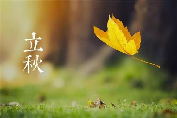 立秋要吃饺子吗 立秋吃饺子还是面条 立秋要吃饺子吗 立秋吃饺子还是面条