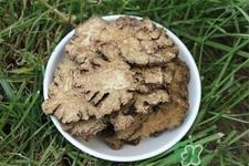 川芎的营养价值 川芎的功效与作用 川芎的营养价值 川芎的功效与作用