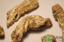 川芎的营养价值 川芎的功效与作用 川芎的营养价值 川芎的功效与作用