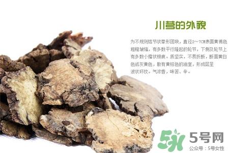 川芎的营养价值 川芎的功效与作用 川芎的营养价值 川芎的功效与作用