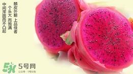 红心火龙果对人体有哪些好处?红心火龙果的禁忌 红心火龙果对人体有哪些好处?红心火龙果的禁忌