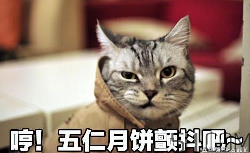 十仁月饼是哪十仁?十仁月饼好吃吗 十仁月饼是哪十仁?十仁月饼好吃吗