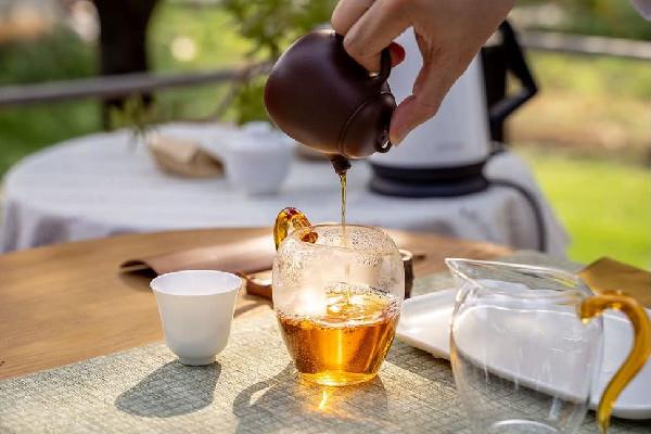 四季春是不是铁观音 四季春和铁观音有什么区别 四季春是不是铁观音 四季春和铁观音有什么区别