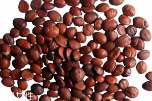 酸枣仁多少钱一斤 酸枣仁怎么挑选 酸枣仁多少钱一斤 酸枣仁怎么挑选