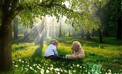 小孩可以吃鹿茸吗?小孩吃鹿茸好吗 小孩可以吃鹿茸吗?小孩吃鹿茸好吗