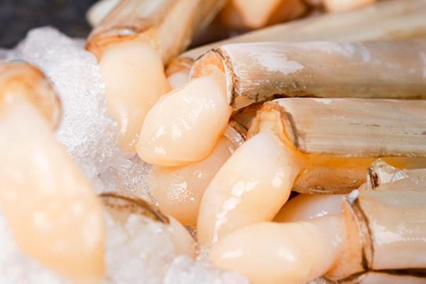 蛏子能涮火锅吗 不推荐这样吃 蛏子能涮火锅吗 不推荐这样吃