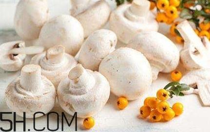 口蘑怎么吃?口蘑不能和什么一起吃 口蘑怎么吃?口蘑不能和什么一起吃