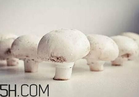 口蘑怎么吃?口蘑不能和什么一起吃 口蘑怎么吃?口蘑不能和什么一起吃