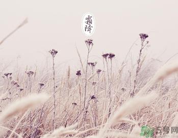 霜降是什么季节?霜降是秋天还是冬天? 霜降是什么季节?霜降是秋天还是冬天?