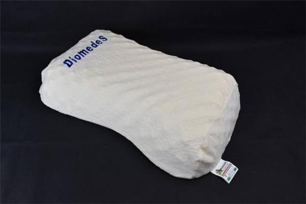 乳胶枕头和荞麦皮枕头哪个好 乳胶枕头和荞麦枕头区别 乳胶枕头和荞麦皮枕头哪个好 乳胶枕头和荞麦枕头区别