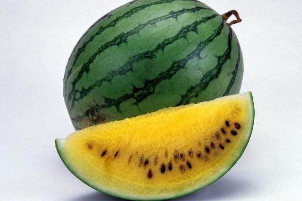 西瓜可以放多长时间 什么样的西瓜耐储存 西瓜可以放多长时间 什么样的西瓜耐储存