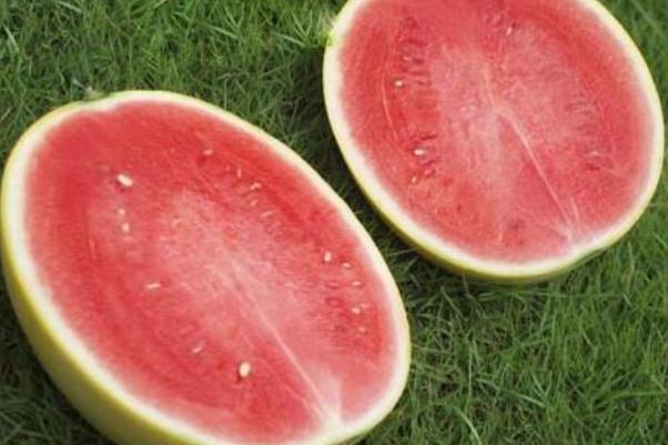 西瓜可以放多长时间 什么样的西瓜耐储存 西瓜可以放多长时间 什么样的西瓜耐储存
