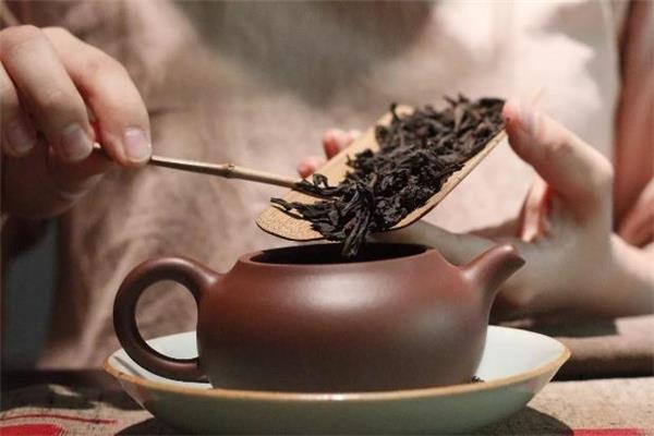 水仙茶的功效与作用 水仙茶是凉性还是热性 水仙茶的功效与作用 水仙茶是凉性还是热性