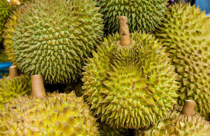 榴莲没开口是不是没熟 榴莲没开口放几天会自动开口吗 榴莲没开口是不是没熟 榴莲没开口放几天会自动开口吗