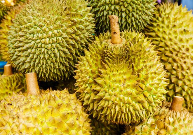 榴莲没开口是不是没熟 榴莲没开口放几天会自动开口吗 榴莲没开口是不是没熟 榴莲没开口放几天会自动开口吗