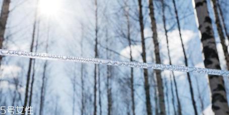 桦树汁好喝吗 桦树汁怎么喝 桦树汁好喝吗 桦树汁怎么喝