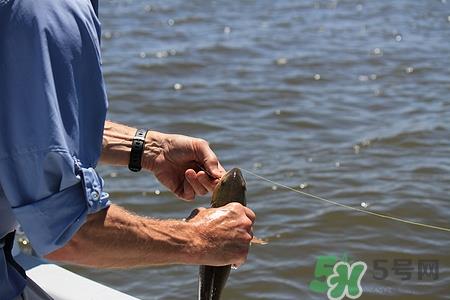 天冷可以钓鱼吗?天冷好钓鱼吗 天冷可以钓鱼吗?天冷好钓鱼吗