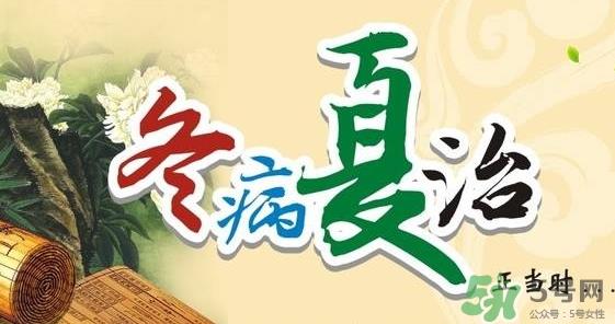 三伏灸要灸几次?三伏灸要灸多久? 三伏灸要灸几次?三伏灸要灸多久?