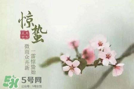 惊蛰可以去扫墓吗?惊蛰可以去上坟吗? 惊蛰可以去扫墓吗?惊蛰可以去上坟吗?