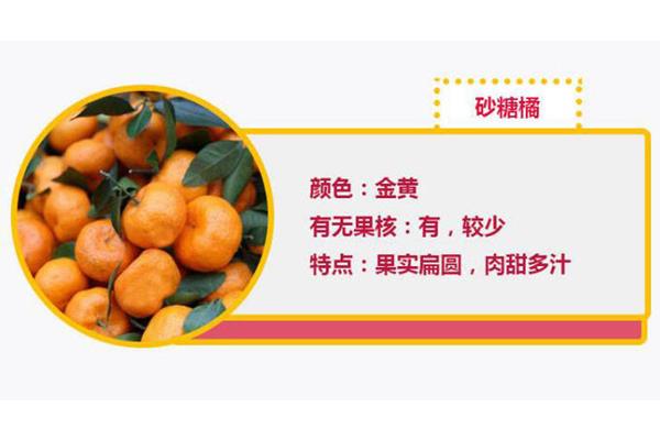 蜜橘和砂糖橘如何区分 蜜橘和砂糖橘的图片 蜜橘和砂糖橘如何区分 蜜橘和砂糖橘的图片