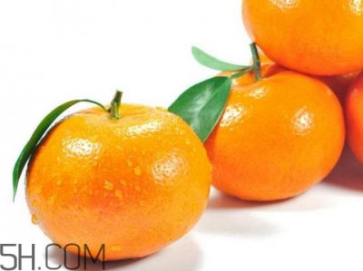 沃柑市场多少钱一斤?皇帝柑好还是沃柑好吃