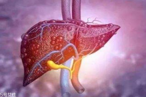 肝不好的人群有什么症状呢 肝不好应该怎么办呢 肝不好的人群有什么症状呢 肝不好应该怎么办呢