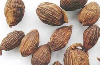 草果和草寇是一样吗 不一样哦 草果和草寇是一样吗 不一样哦