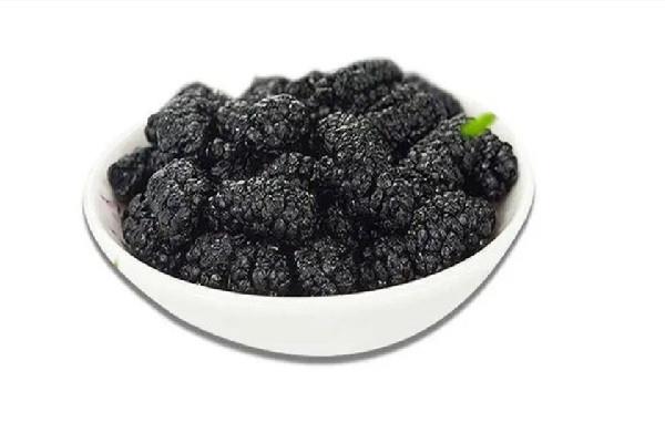 桑葚干一次泡几粒最好 桑葚干泡可以泡几次 桑葚干一次泡几粒最好 桑葚干泡可以泡几次