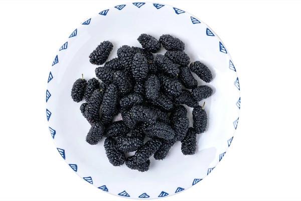 桑葚干一次泡几粒最好 桑葚干泡可以泡几次 桑葚干一次泡几粒最好 桑葚干泡可以泡几次