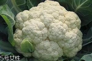 花椰菜可以生吃吗?热水杀毒可食用 花椰菜可以生吃吗?热水杀毒可食用