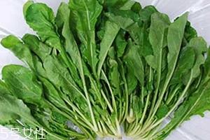 荠菜包饺子需要焯水吗？小心有苦涩的味道