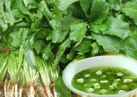 荠菜包饺子需要焯水吗？小心有苦涩的味道