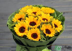 父亲节可以送花吗?父亲节送什么花最合适? 父亲节可以送花吗?父亲节送什么花最合适?